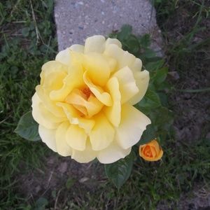 Meet your Posher, Marilyn